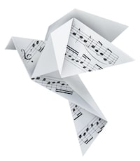 major scale learn guitar